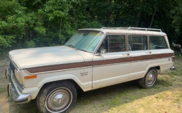 Jeep-Wagoneer-1976-Wagon-24