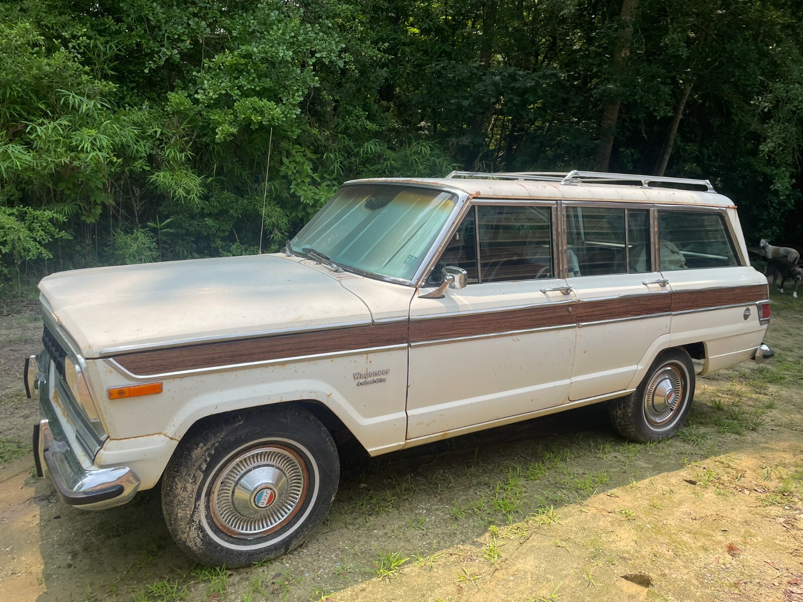 Jeep-Wagoneer-1976-Wagon-24