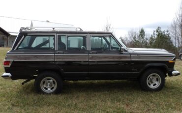 Jeep-Wagoneer-1977-SUV-18