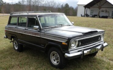 Jeep-Wagoneer-1977-SUV-19