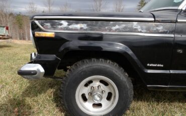 Jeep-Wagoneer-1977-SUV-22