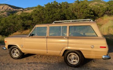 Jeep-Wagoneer-1978-SUV-1