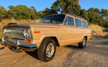 Jeep-Wagoneer-1978-SUV-2