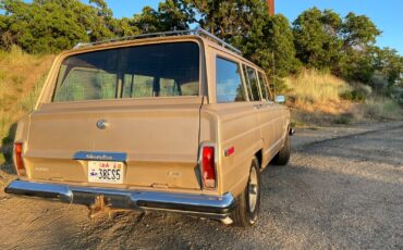 Jeep-Wagoneer-1978-SUV-3