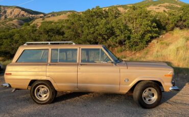 Jeep-Wagoneer-1978-SUV-4