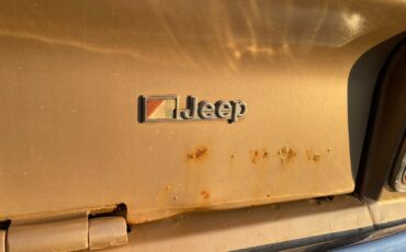 Jeep-Wagoneer-1978-SUV-6