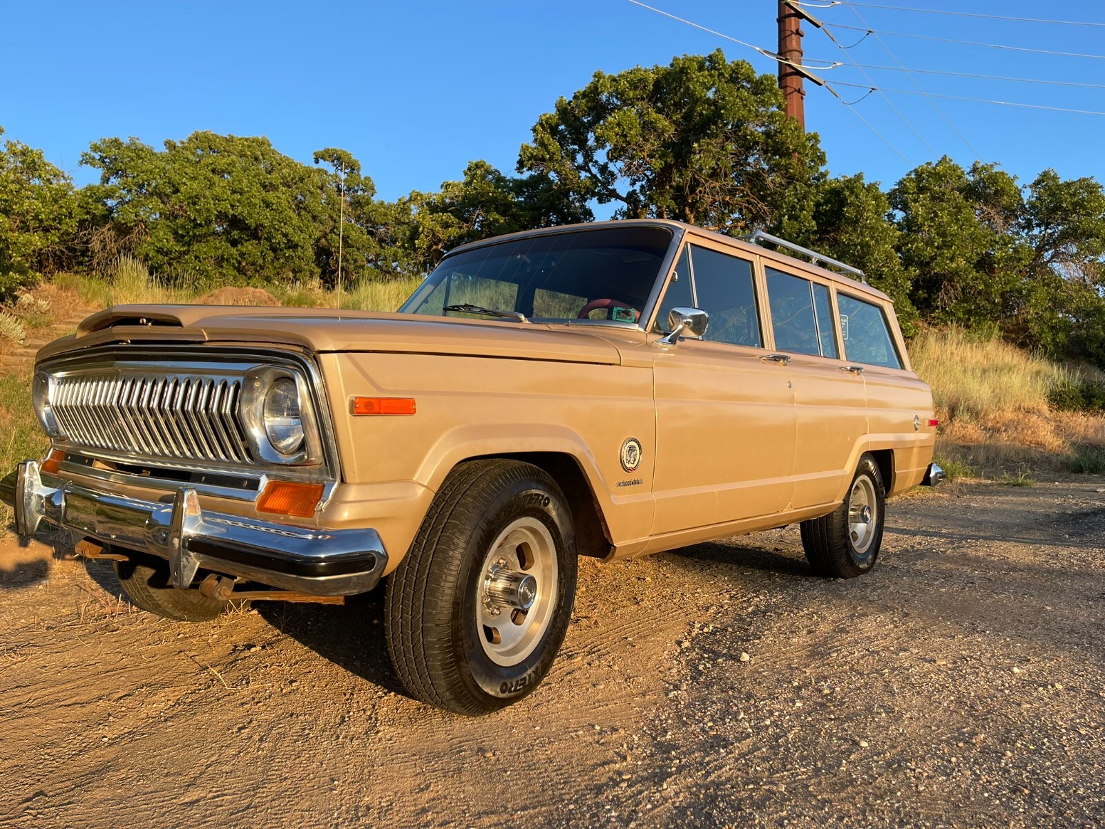 Jeep Wagoneer 1978 SUV