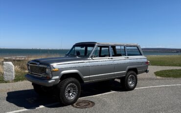 Jeep-Wagoneer-1979-SUV-3