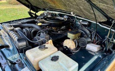 Jeep-Wagoneer-1984-SUV-30