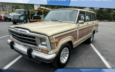 Jeep Wagoneer 1988 SUV
