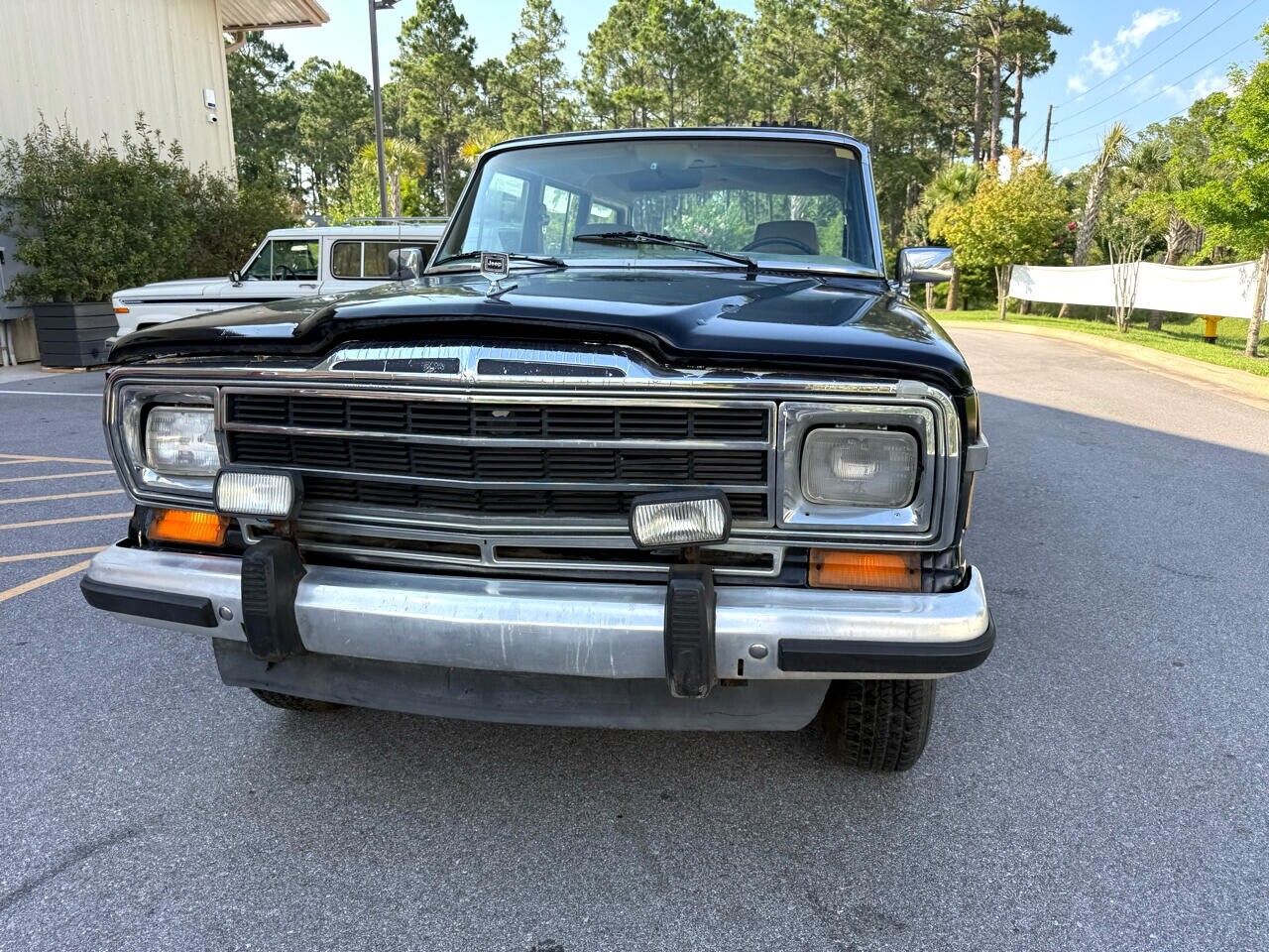 Jeep-Wagoneer-1989-SUV-5
