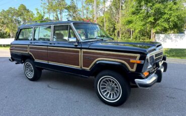 Jeep-Wagoneer-1989-SUV-9