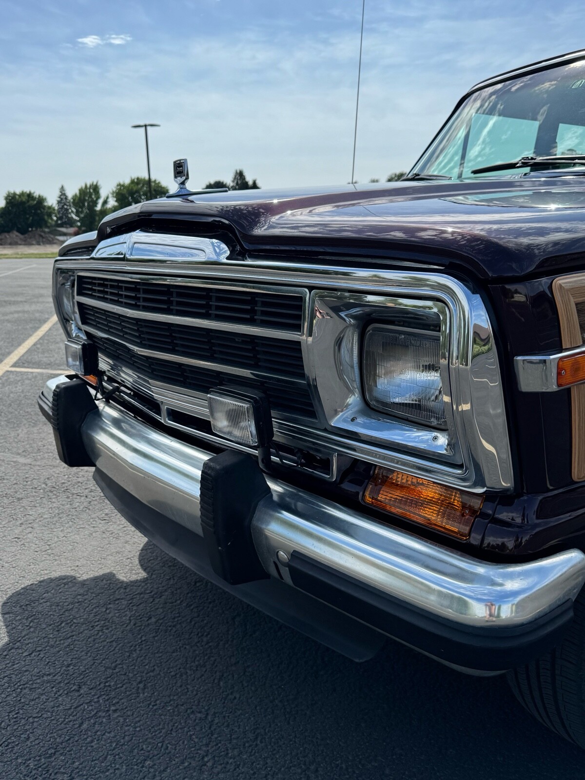 Jeep-Wagoneer-1989-Wagon-11