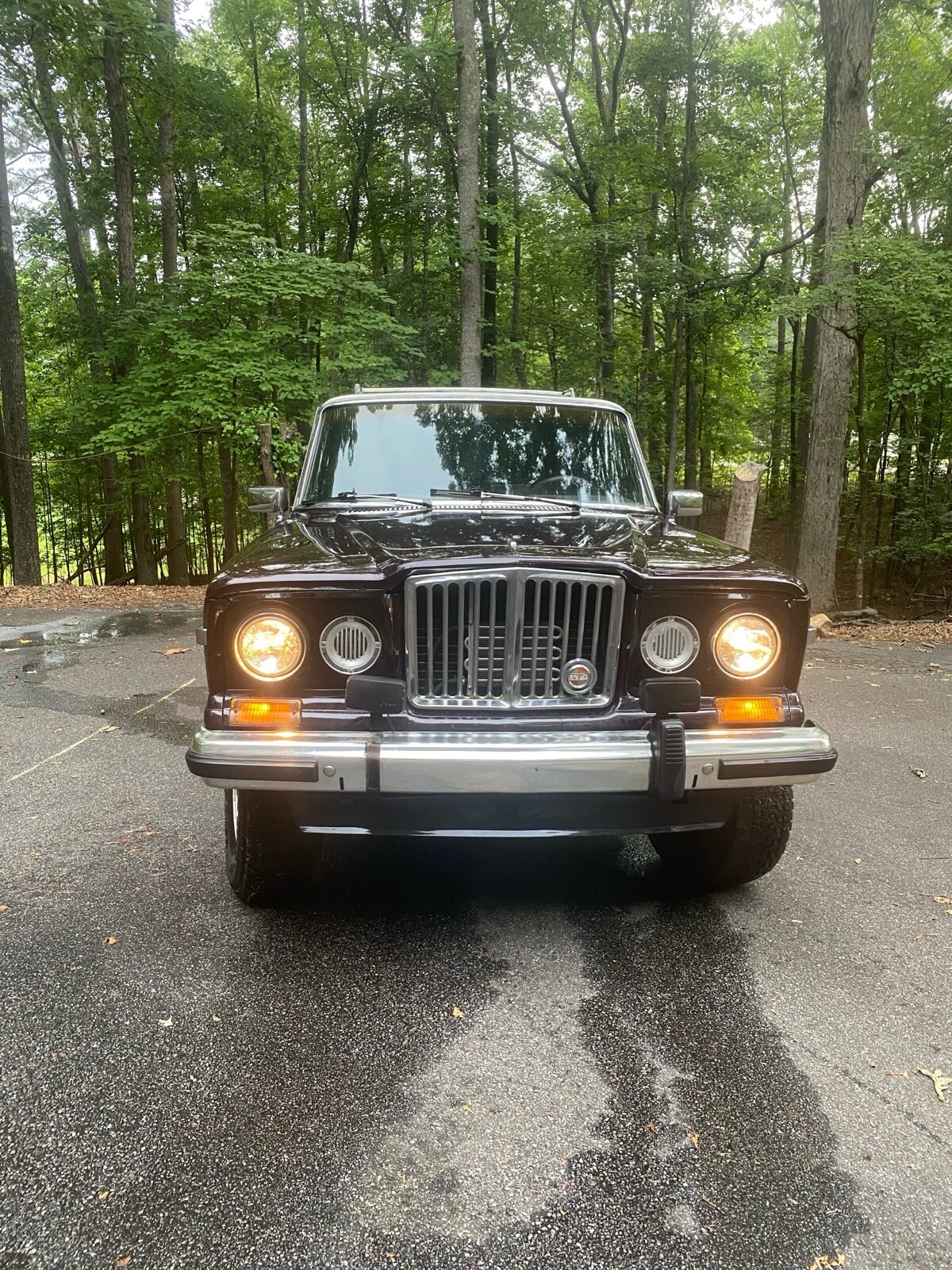 Jeep-Wagoneer-1990-Wagon-2