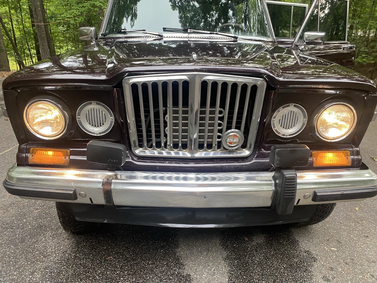 Jeep-Wagoneer-1990-Wagon-5