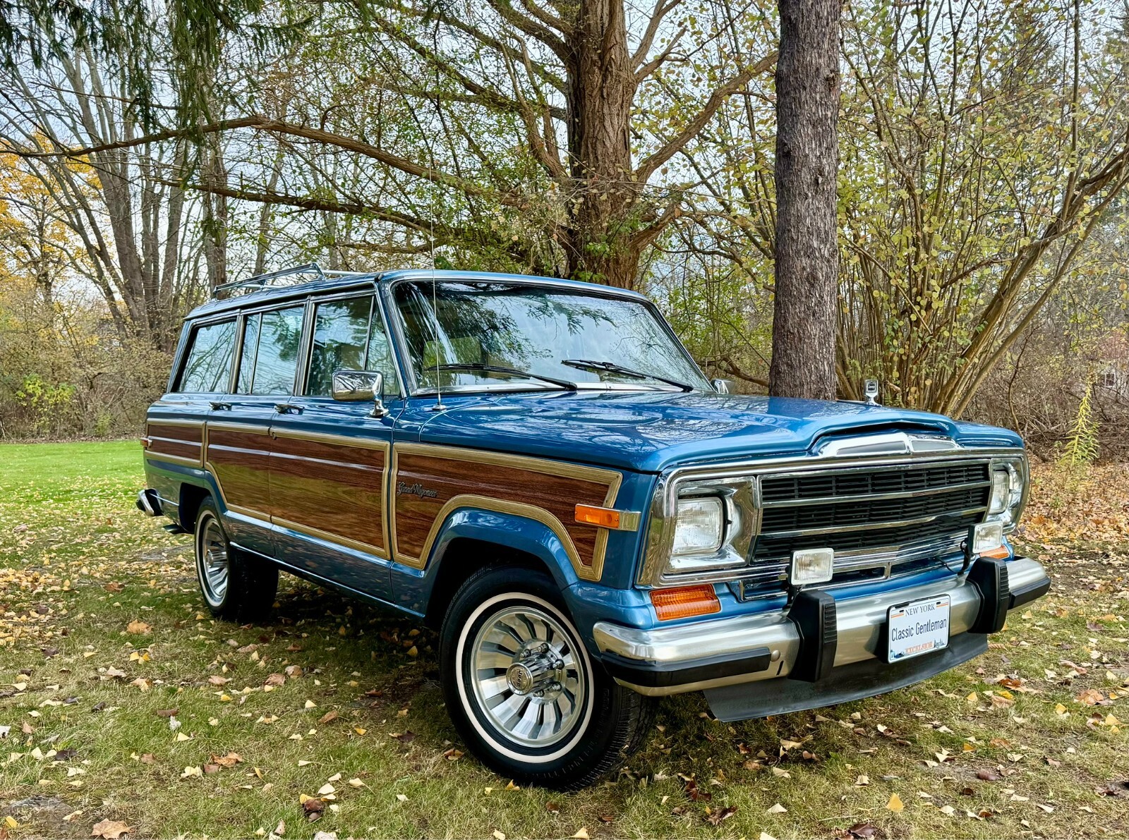 Jeep-Wagoneer-1991-SUV-1
