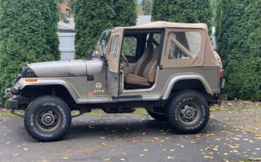 Jeep-Wrangler-1990-green-2