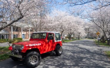 Jeep-Wrangler-1991-1