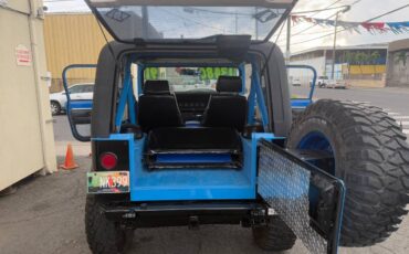 Jeep-Wrangler-1991-blue-20