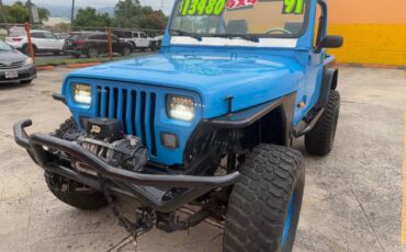 Jeep-Wrangler-1991-blue-3