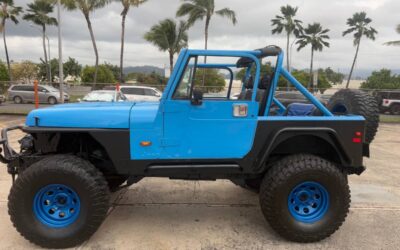 Jeep Wrangler  1991 blue