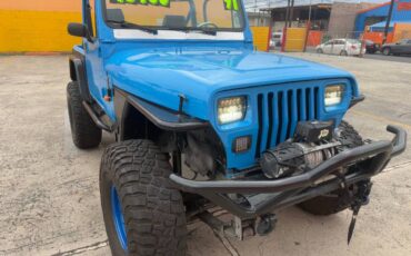 Jeep-Wrangler-1991-blue-5