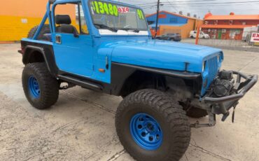 Jeep-Wrangler-1991-blue-6
