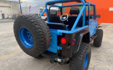 Jeep-Wrangler-1991-blue-8