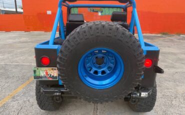 Jeep-Wrangler-1991-blue-9
