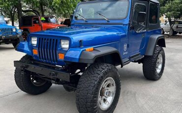 Jeep-Wrangler-1991-custom-3