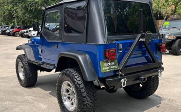 Jeep-Wrangler-1991-custom-9