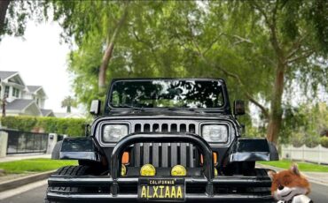 Jeep-Wrangler-1994-Wagon-4