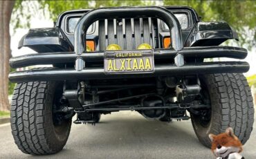 Jeep-Wrangler-1994-Wagon-9