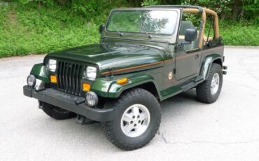 Jeep-Wrangler-1995-1