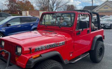 Jeep-Wrangler-1995-10