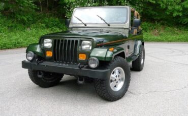 Jeep-Wrangler-1995-10