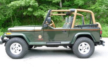 Jeep-Wrangler-1995-11