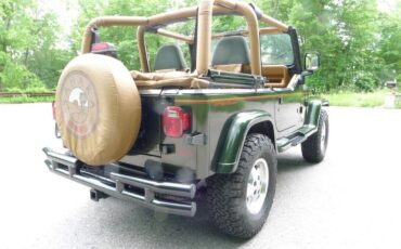 Jeep-Wrangler-1995-12