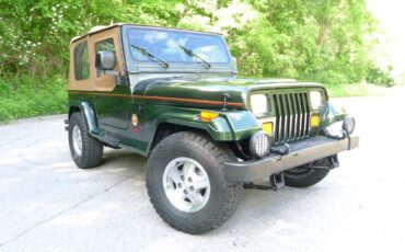 Jeep-Wrangler-1995-18