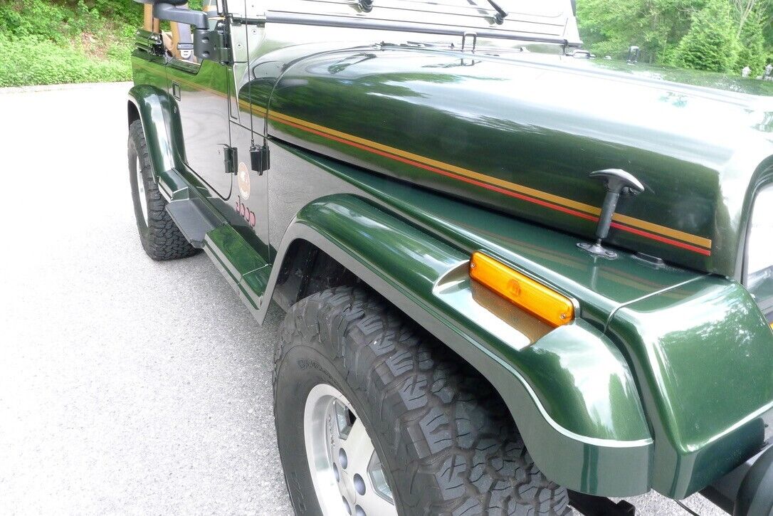 Jeep-Wrangler-1995-20