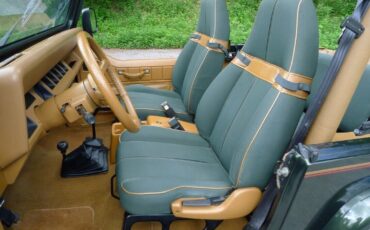 Jeep-Wrangler-1995-28