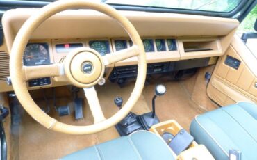 Jeep-Wrangler-1995-29