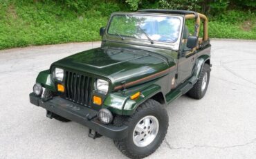 Jeep-Wrangler-1995-3