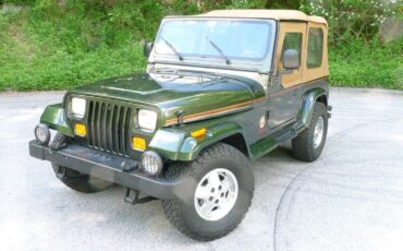 Jeep-Wrangler-1995-4