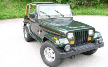 Jeep-Wrangler-1995-5