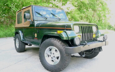 Jeep-Wrangler-1995-6