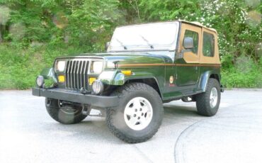Jeep-Wrangler-1995-8