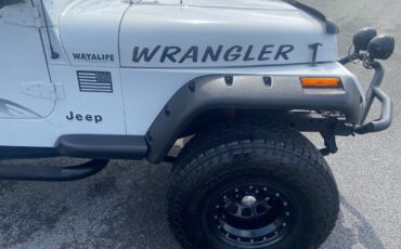 Jeep-Wrangler-1995-SUV-23