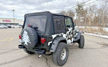 Jeep-Wrangler-1995-SUV-3