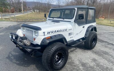 Jeep Wrangler 1995 SUV